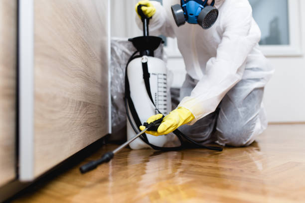 Best Wasp Removal Services  in Cibecue, AZ