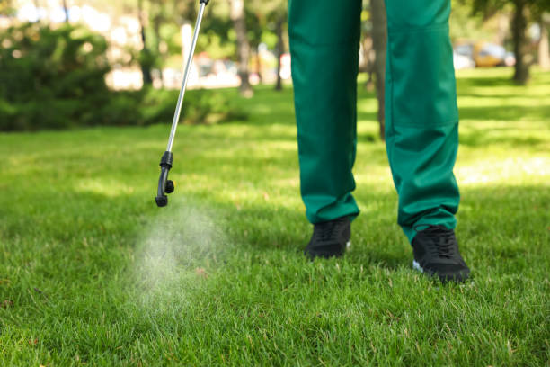 Best Affordable Pest Control Services  in Cibecue, AZ