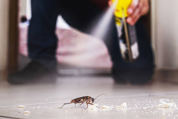 Pest Control Cost in Cibecue, AZ